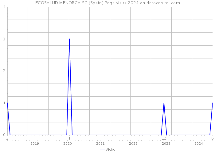 ECOSALUD MENORCA SC (Spain) Page visits 2024 