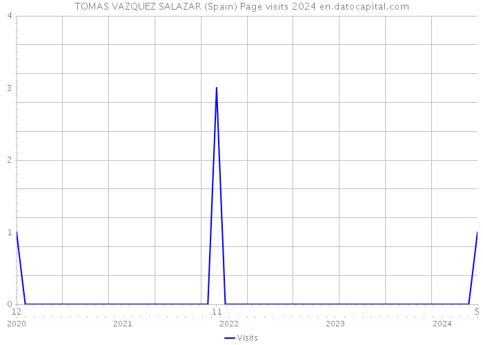 TOMAS VAZQUEZ SALAZAR (Spain) Page visits 2024 