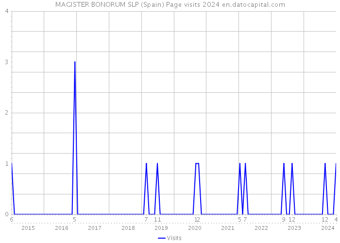 MAGISTER BONORUM SLP (Spain) Page visits 2024 