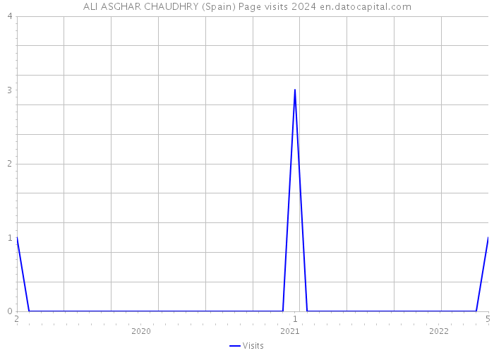 ALI ASGHAR CHAUDHRY (Spain) Page visits 2024 