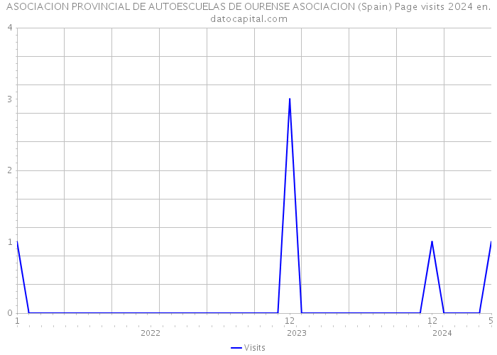 ASOCIACION PROVINCIAL DE AUTOESCUELAS DE OURENSE ASOCIACION (Spain) Page visits 2024 