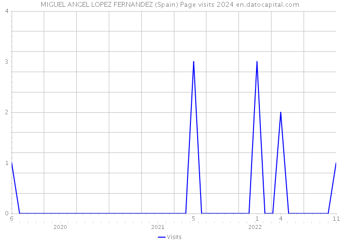 MIGUEL ANGEL LOPEZ FERNANDEZ (Spain) Page visits 2024 