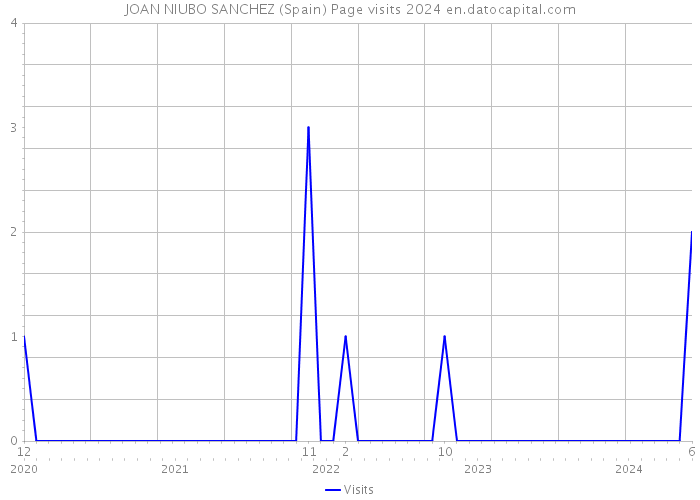 JOAN NIUBO SANCHEZ (Spain) Page visits 2024 