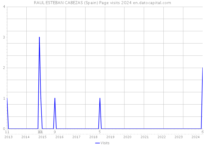 RAUL ESTEBAN CABEZAS (Spain) Page visits 2024 
