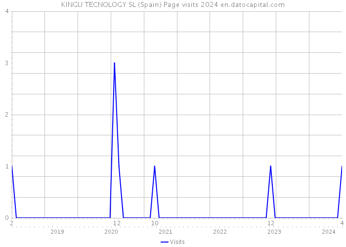 KINGU TECNOLOGY SL (Spain) Page visits 2024 