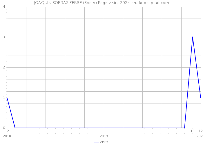 JOAQUIN BORRAS FERRE (Spain) Page visits 2024 