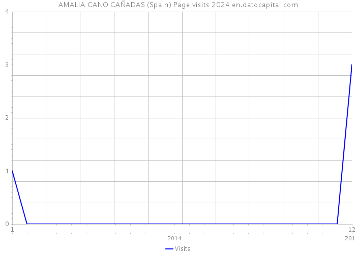 AMALIA CANO CAÑADAS (Spain) Page visits 2024 