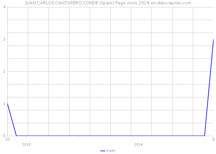 JUAN CARLOS CANTARERO CONDE (Spain) Page visits 2024 