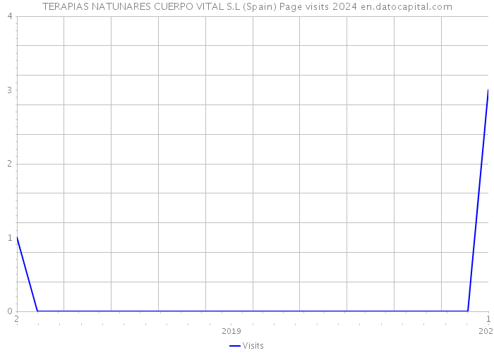 TERAPIAS NATUNARES CUERPO VITAL S.L (Spain) Page visits 2024 