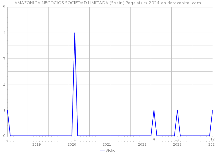 AMAZONICA NEGOCIOS SOCIEDAD LIMITADA (Spain) Page visits 2024 