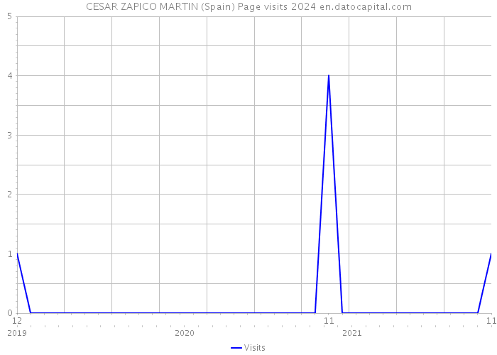 CESAR ZAPICO MARTIN (Spain) Page visits 2024 
