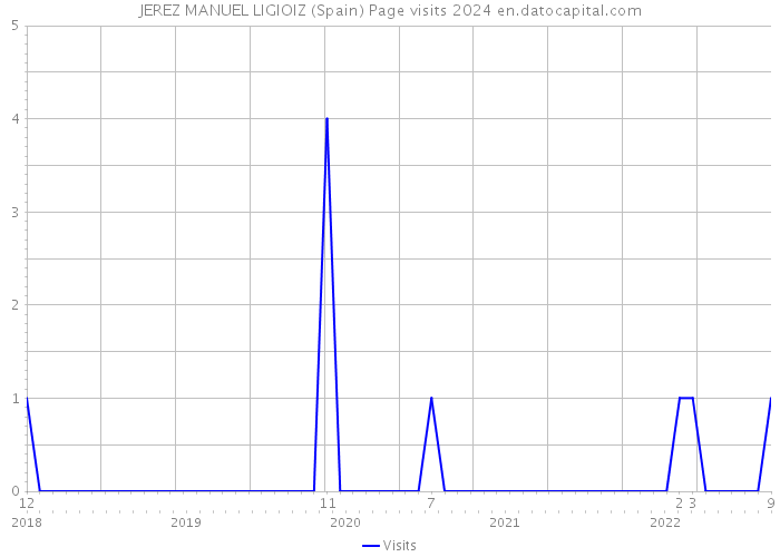 JEREZ MANUEL LIGIOIZ (Spain) Page visits 2024 