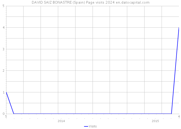 DAVID SAIZ BONASTRE (Spain) Page visits 2024 