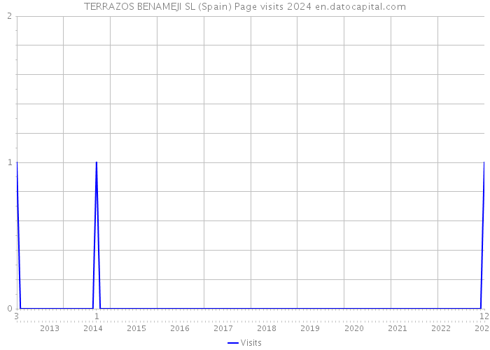 TERRAZOS BENAMEJI SL (Spain) Page visits 2024 