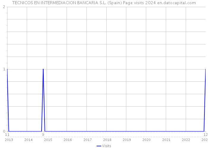TECNICOS EN INTERMEDIACION BANCARIA S.L. (Spain) Page visits 2024 
