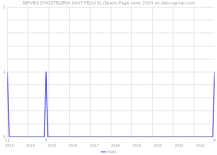 SERVEIS D'HOSTELERIA SANT FELIU SL (Spain) Page visits 2024 