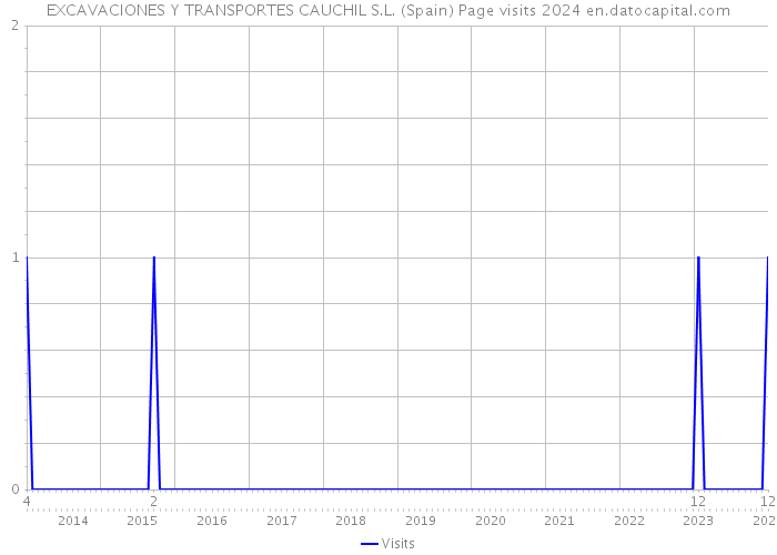 EXCAVACIONES Y TRANSPORTES CAUCHIL S.L. (Spain) Page visits 2024 