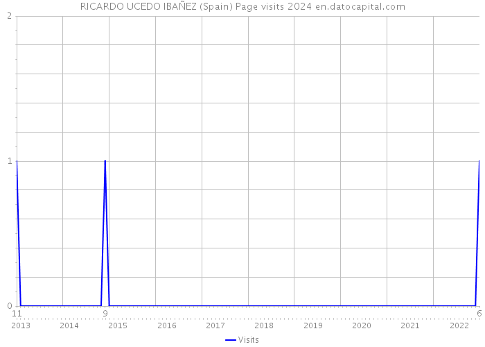 RICARDO UCEDO IBAÑEZ (Spain) Page visits 2024 