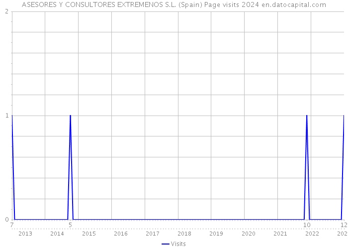 ASESORES Y CONSULTORES EXTREMENOS S.L. (Spain) Page visits 2024 