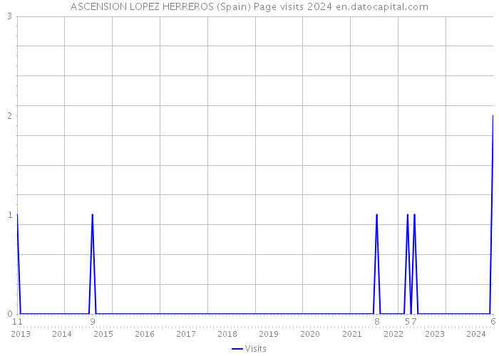ASCENSION LOPEZ HERREROS (Spain) Page visits 2024 