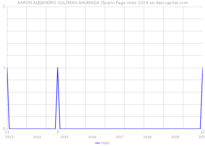 AARON ALEJANDRO GOLZMAN AHUMADA (Spain) Page visits 2024 