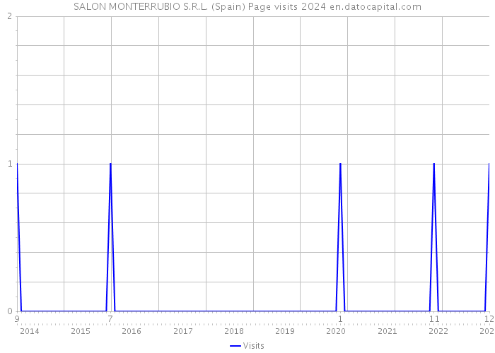 SALON MONTERRUBIO S.R.L. (Spain) Page visits 2024 