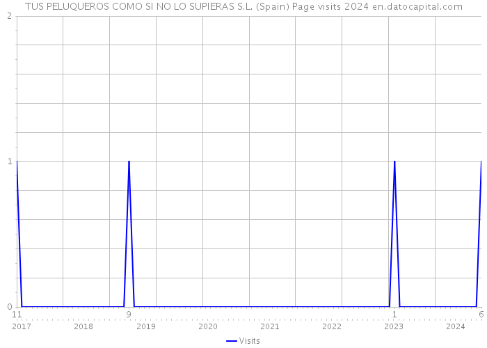 TUS PELUQUEROS COMO SI NO LO SUPIERAS S.L. (Spain) Page visits 2024 