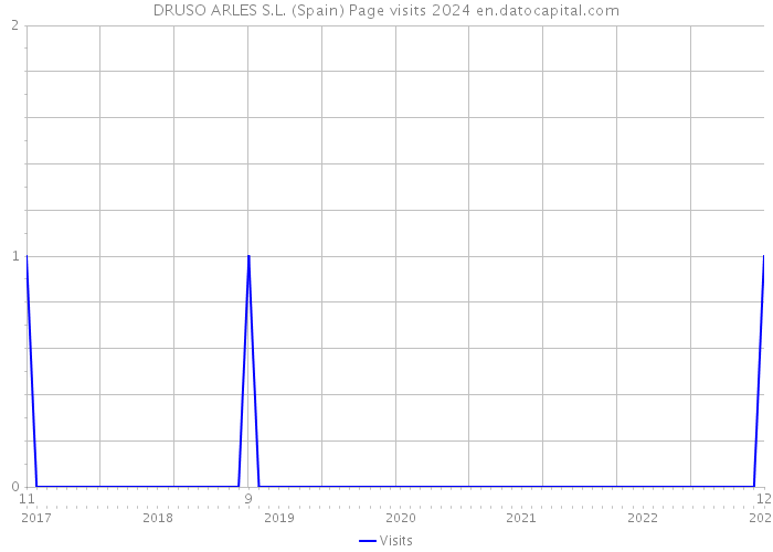 DRUSO ARLES S.L. (Spain) Page visits 2024 