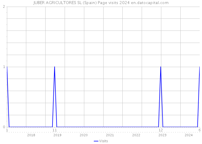 JUBER AGRICULTORES SL (Spain) Page visits 2024 