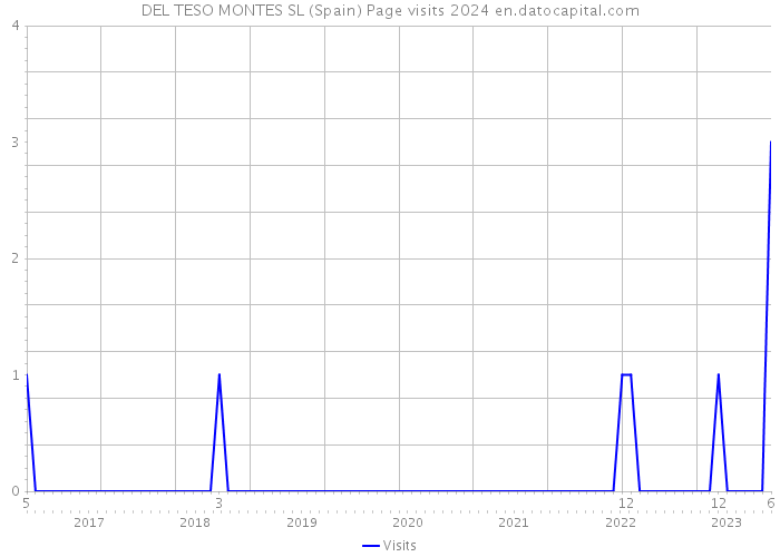 DEL TESO MONTES SL (Spain) Page visits 2024 