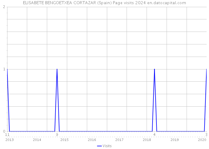 ELISABETE BENGOETXEA CORTAZAR (Spain) Page visits 2024 