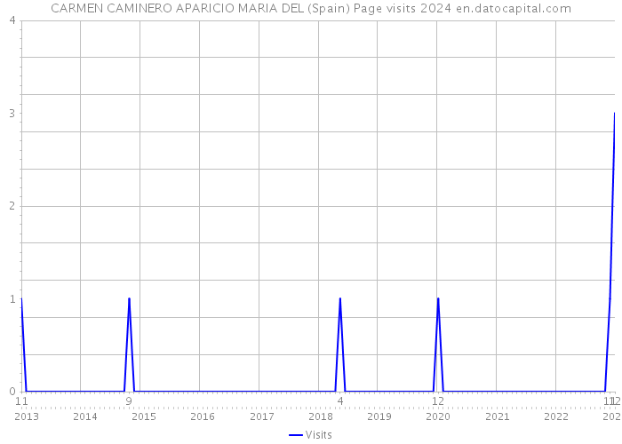 CARMEN CAMINERO APARICIO MARIA DEL (Spain) Page visits 2024 