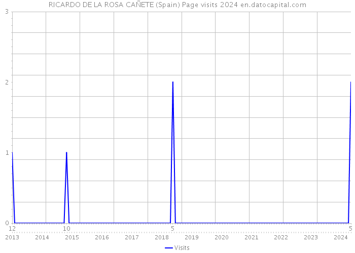 RICARDO DE LA ROSA CAÑETE (Spain) Page visits 2024 