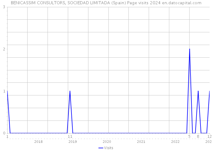 BENICASSIM CONSULTORS, SOCIEDAD LIMITADA (Spain) Page visits 2024 