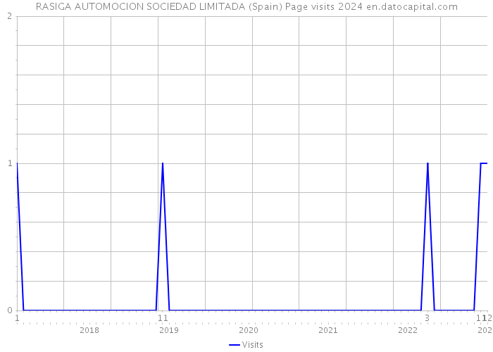 RASIGA AUTOMOCION SOCIEDAD LIMITADA (Spain) Page visits 2024 