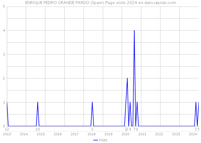 ENRIQUE PEDRO GRANDE PARDO (Spain) Page visits 2024 