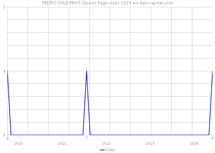 PEDRO SOLE PRAT (Spain) Page visits 2024 