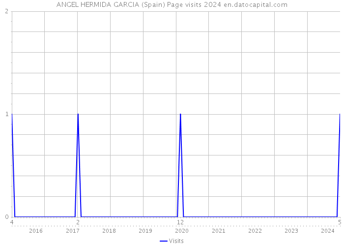 ANGEL HERMIDA GARCIA (Spain) Page visits 2024 