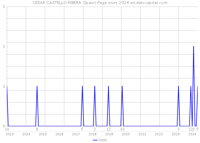 CESAR CASTELLO RIBERA (Spain) Page visits 2024 