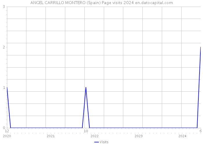 ANGEL CARRILLO MONTERO (Spain) Page visits 2024 