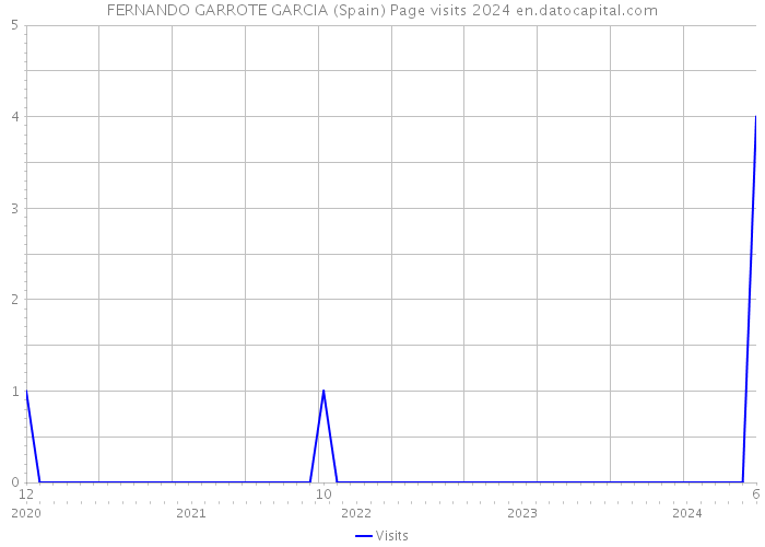 FERNANDO GARROTE GARCIA (Spain) Page visits 2024 