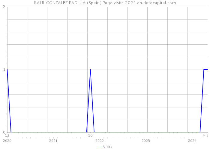 RAUL GONZALEZ PADILLA (Spain) Page visits 2024 