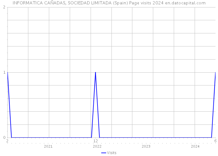 INFORMATICA CAÑADAS, SOCIEDAD LIMITADA (Spain) Page visits 2024 