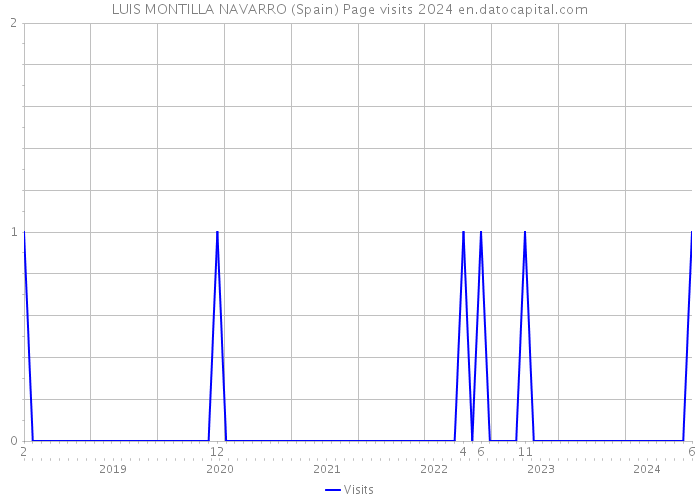 LUIS MONTILLA NAVARRO (Spain) Page visits 2024 