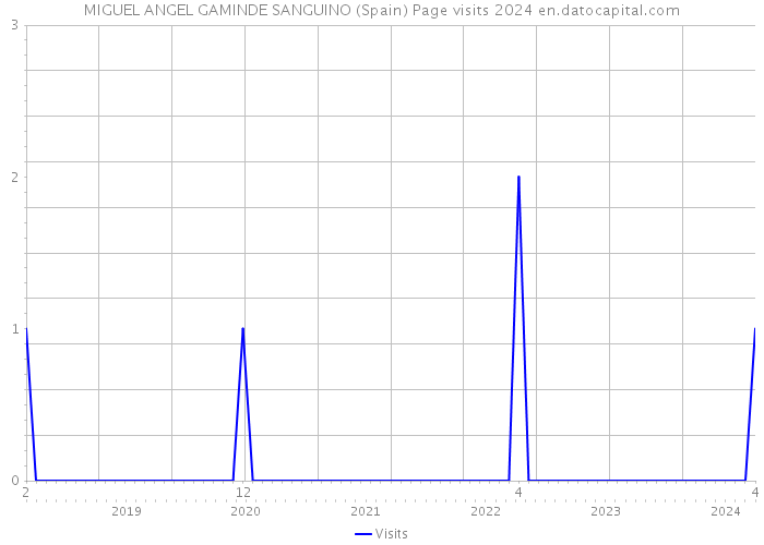 MIGUEL ANGEL GAMINDE SANGUINO (Spain) Page visits 2024 