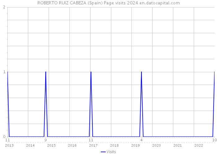 ROBERTO RUIZ CABEZA (Spain) Page visits 2024 