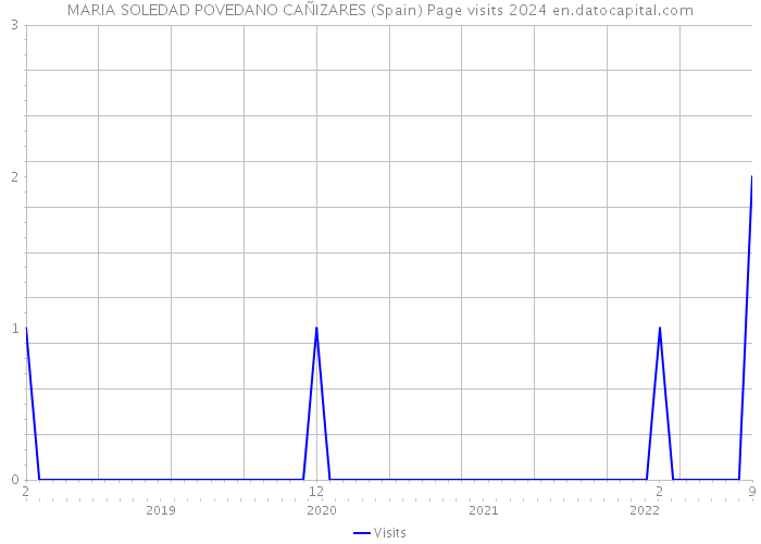 MARIA SOLEDAD POVEDANO CAÑIZARES (Spain) Page visits 2024 