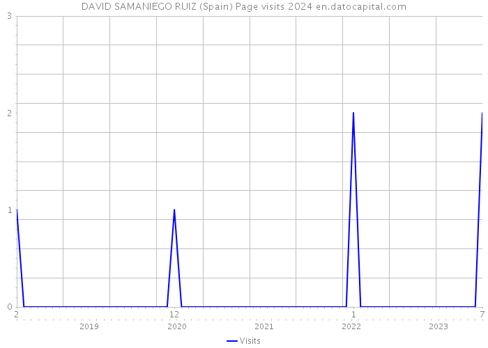 DAVID SAMANIEGO RUIZ (Spain) Page visits 2024 