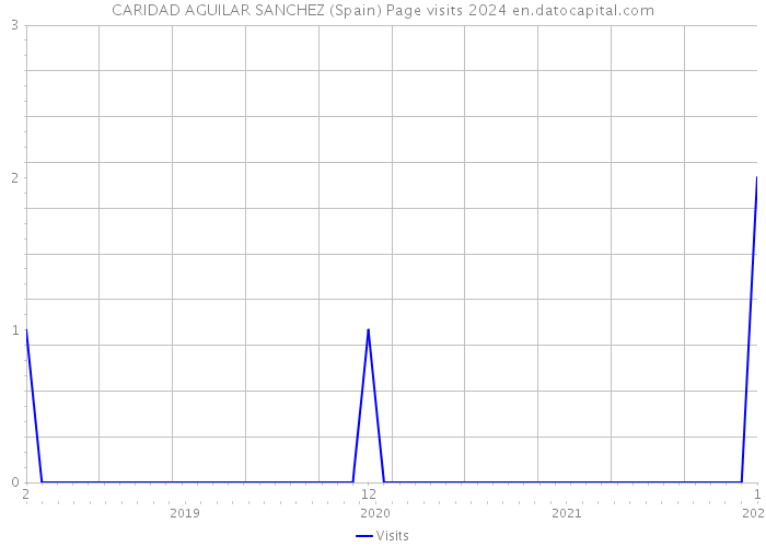 CARIDAD AGUILAR SANCHEZ (Spain) Page visits 2024 
