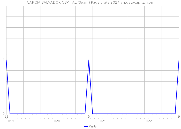 GARCIA SALVADOR OSPITAL (Spain) Page visits 2024 